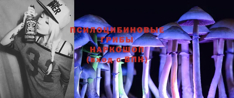 Псилоцибиновые грибы Psilocybe  mega tor  Грязи  купить закладку 